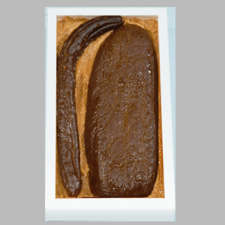 奈良漬　箱詰Ｙ２